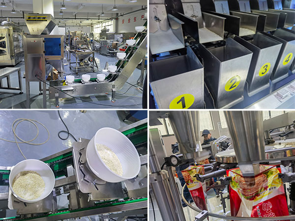 调料粉末颗粒自动化包装流水线